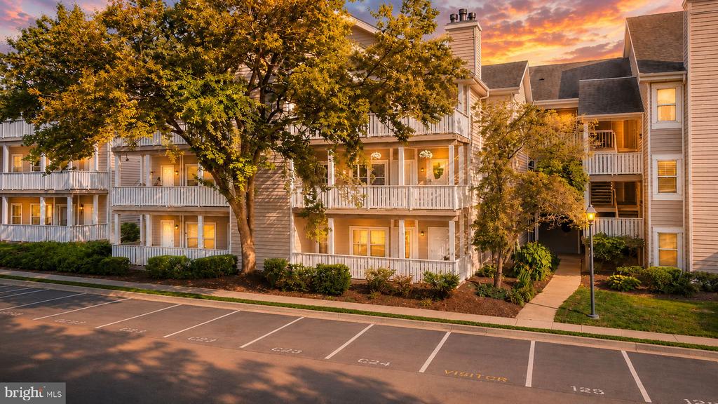 14317 CLIMBING ROSE WAY Unit: 104