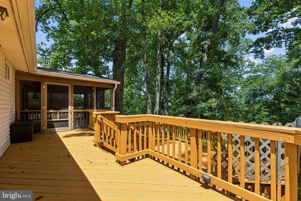 2519 BUCKELEW DRIVE