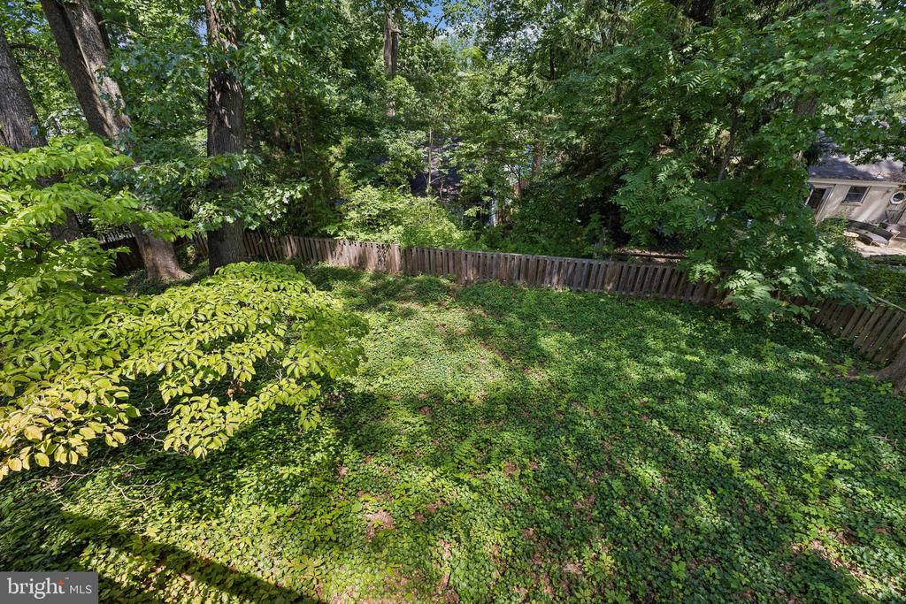 2519 BUCKELEW DRIVE