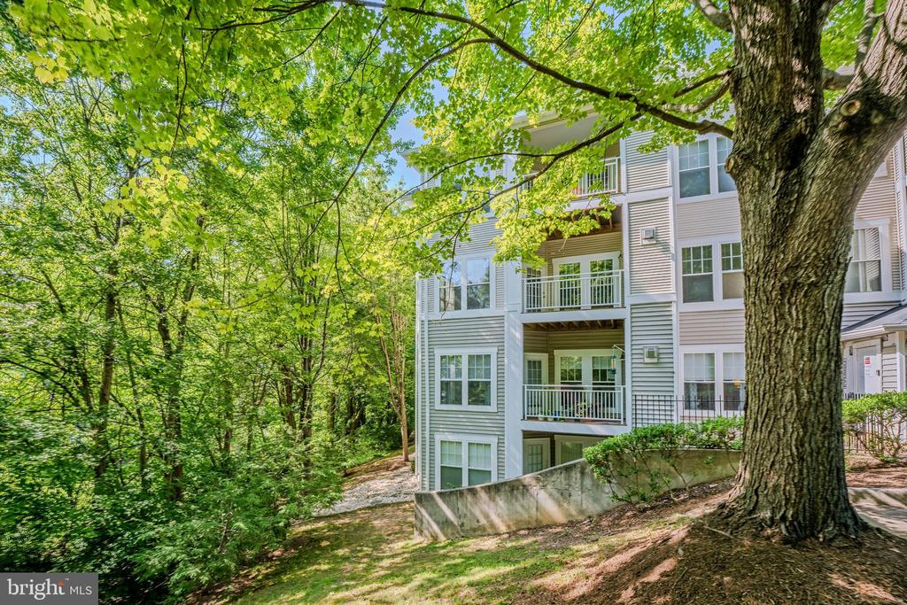 1520 N POINT DRIVE Unit: 03-0202