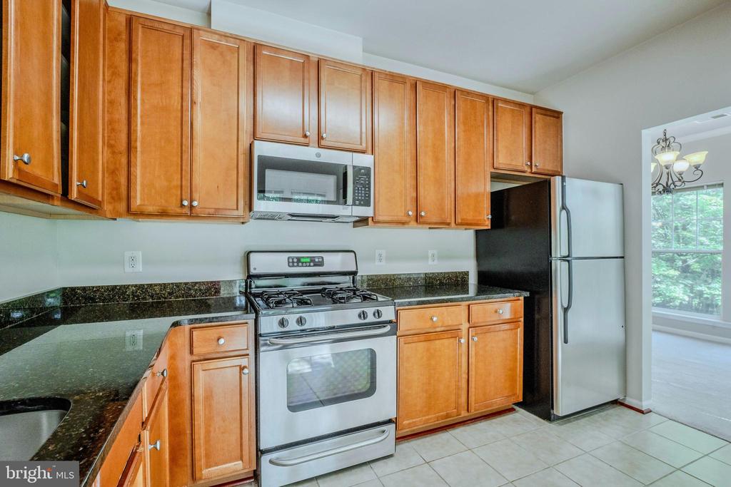 1520 N POINT DRIVE Unit: 03-0202