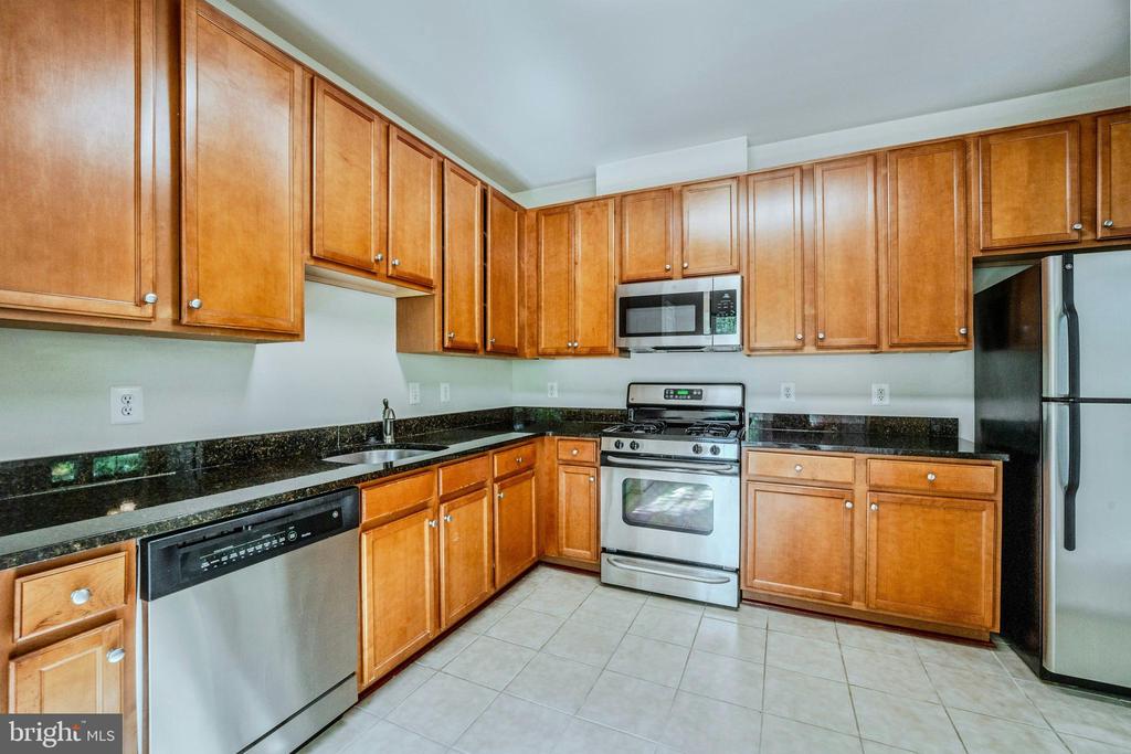 1520 N POINT DRIVE Unit: 03-0202