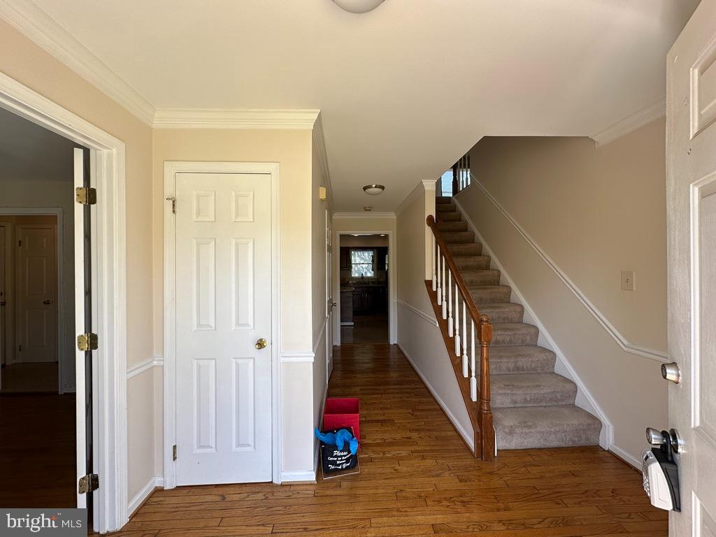893 BROAD OAKS DRIVE