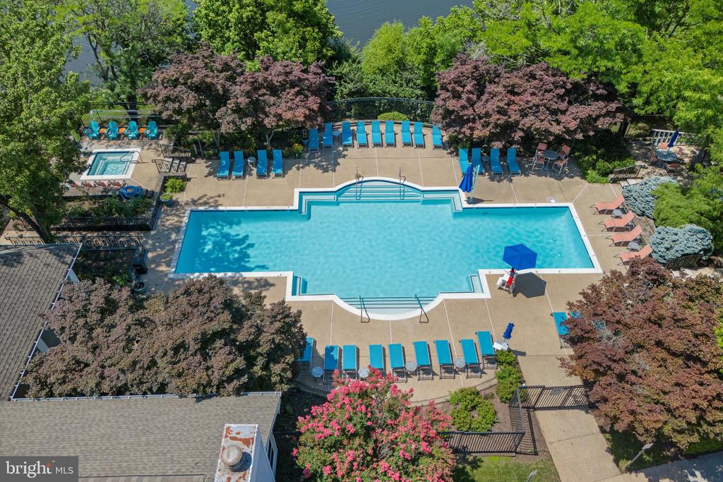14324 CLIMBING ROSE WAY Unit: 201