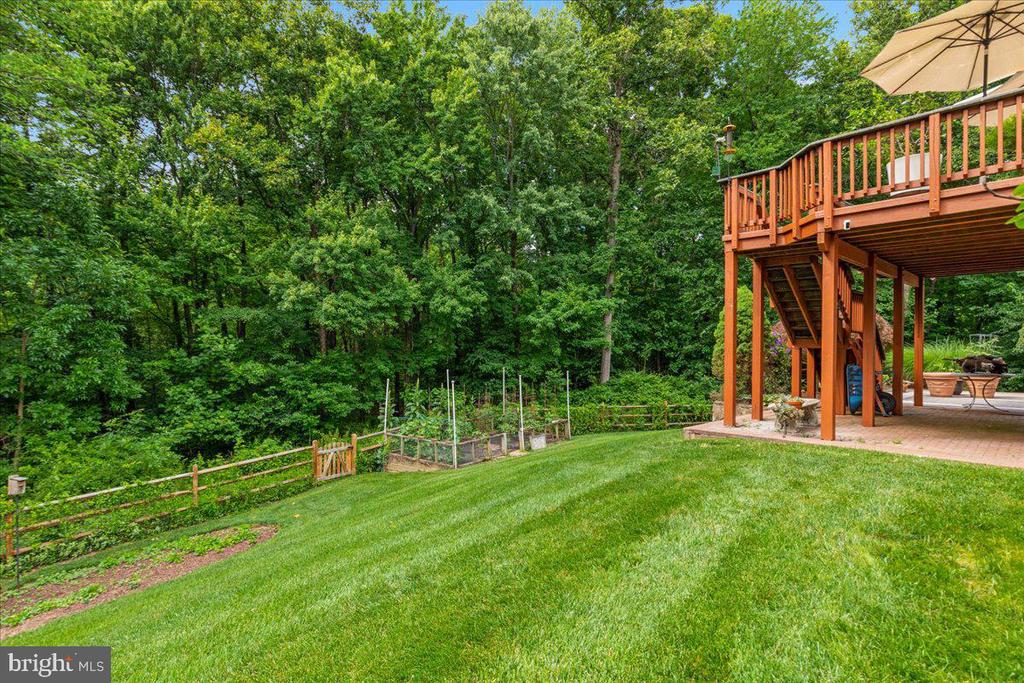1501 JUDD COURT