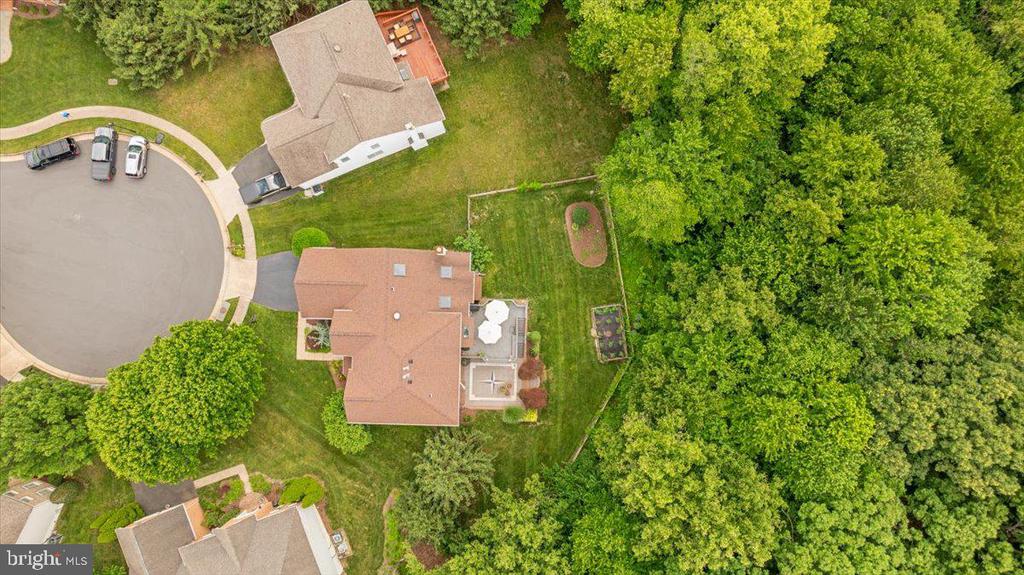 1501 JUDD COURT