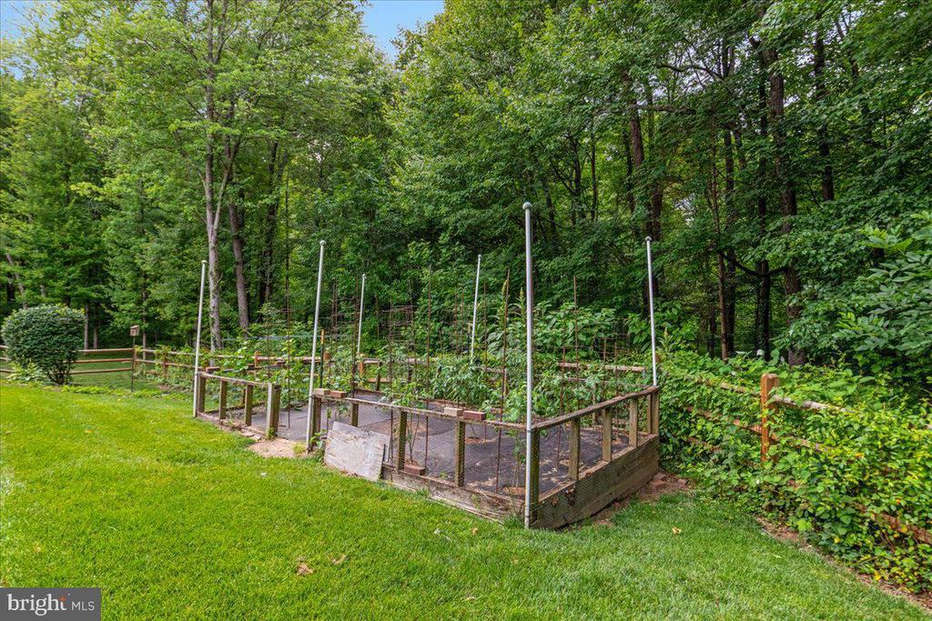1501 JUDD COURT