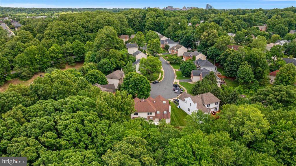 1501 JUDD COURT