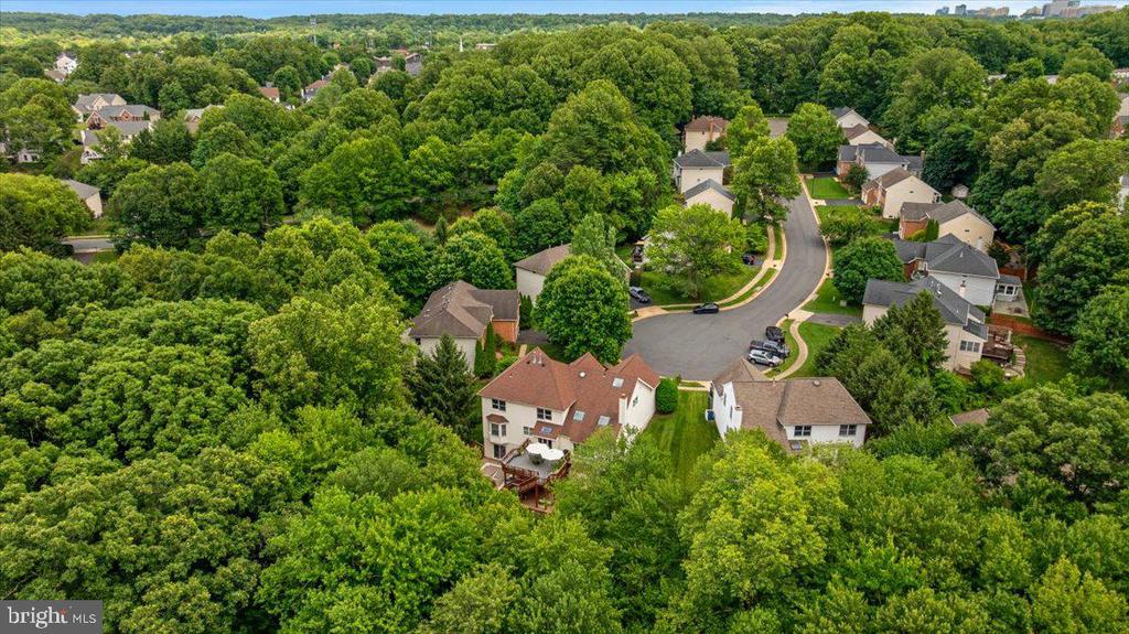 1501 JUDD COURT