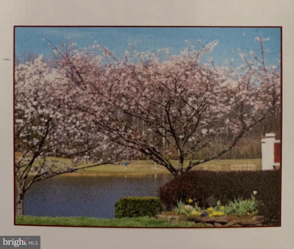 12102 GREEN LEAF COURT Unit: 102