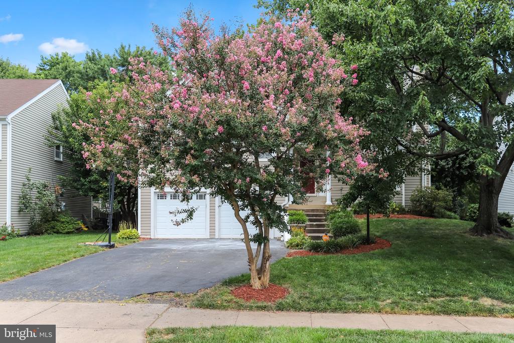 13716 SPRINGHAVEN DRIVE