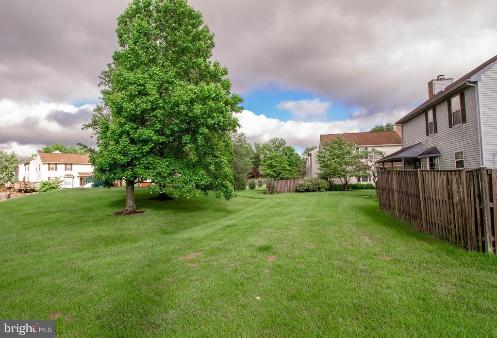 14519 RAVENSCAR COURT
