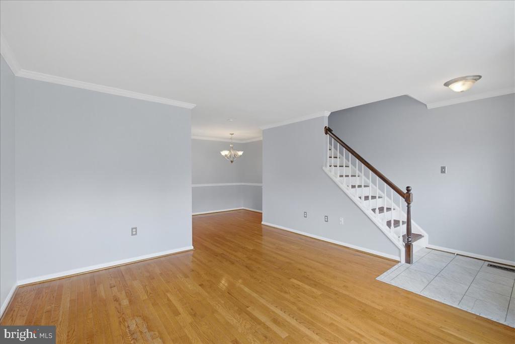14519 RAVENSCAR COURT