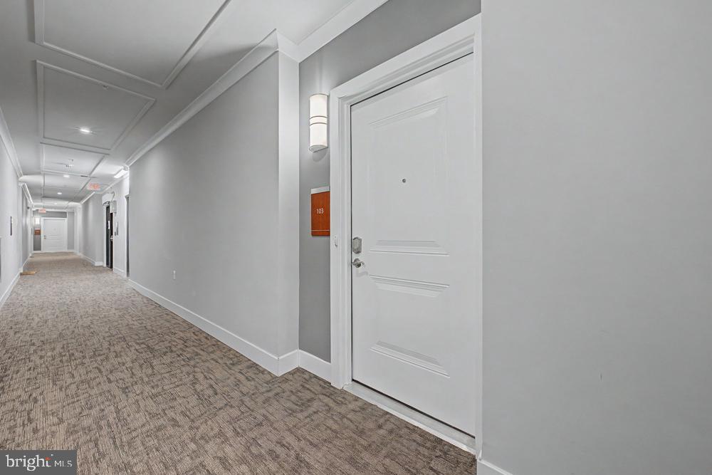 1669 BANDIT LOOP Unit: 103A