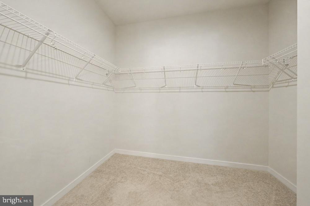 1669 BANDIT LOOP Unit: 103A