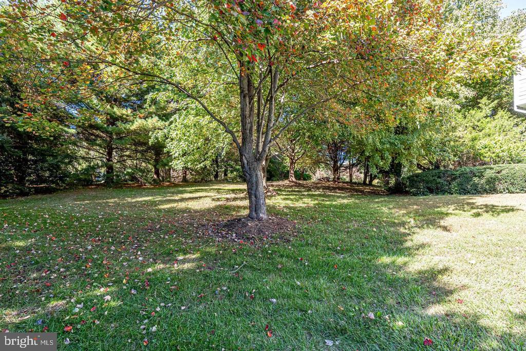 1168 TAJI COURT