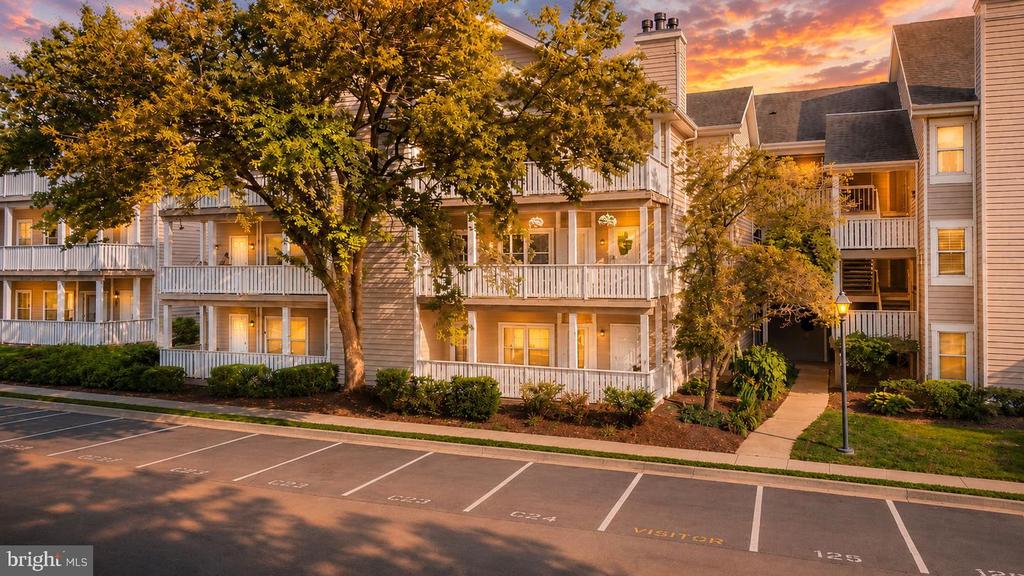 14317 CLIMBING ROSE WAY Unit: 104
