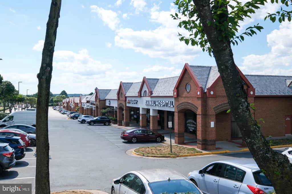 14317 CLIMBING ROSE WAY Unit: 104