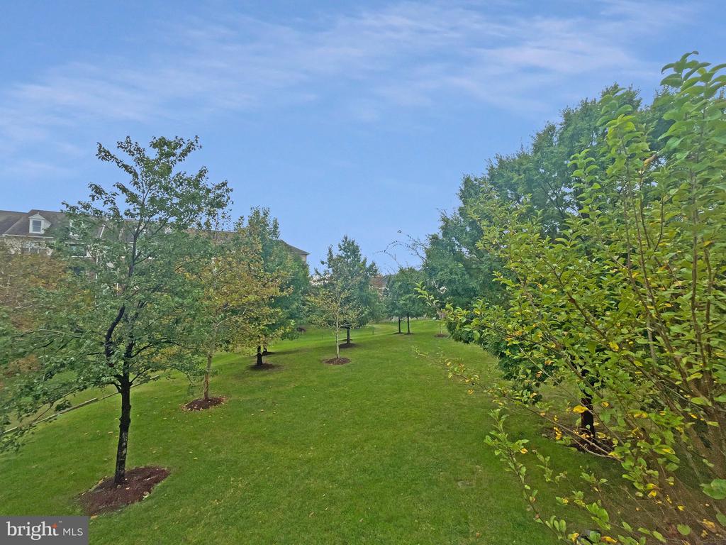 8173 MCCAULEY WAY