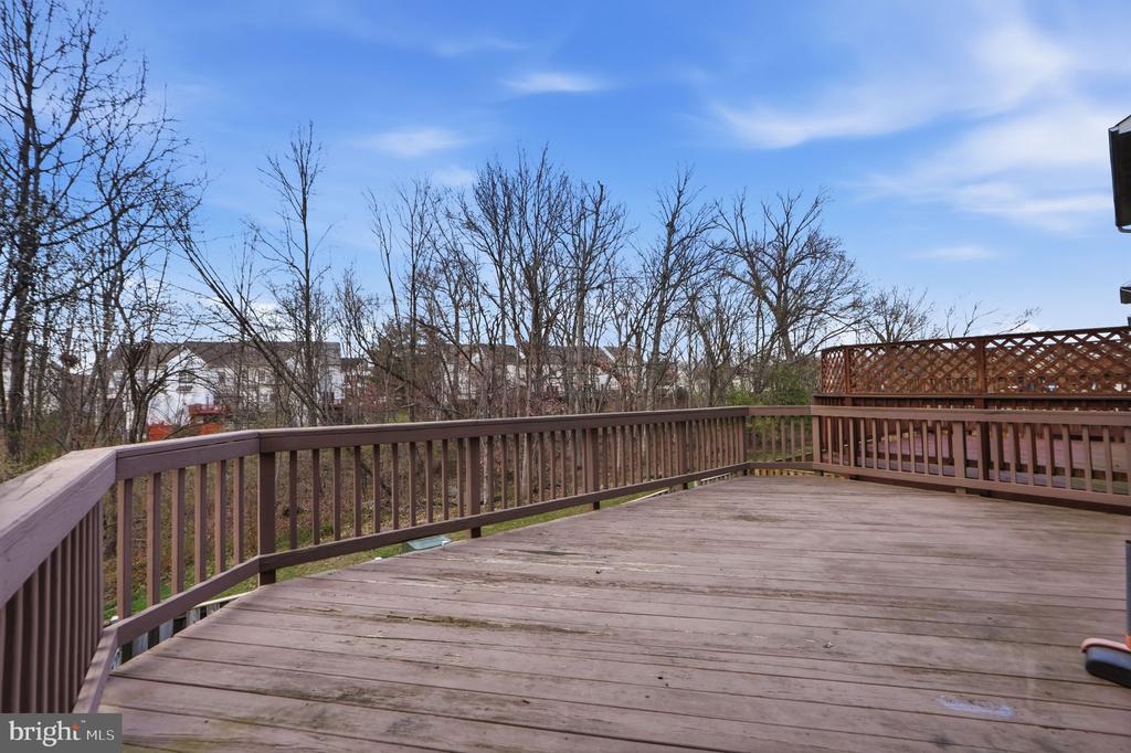 13118 FOREST MIST LANE