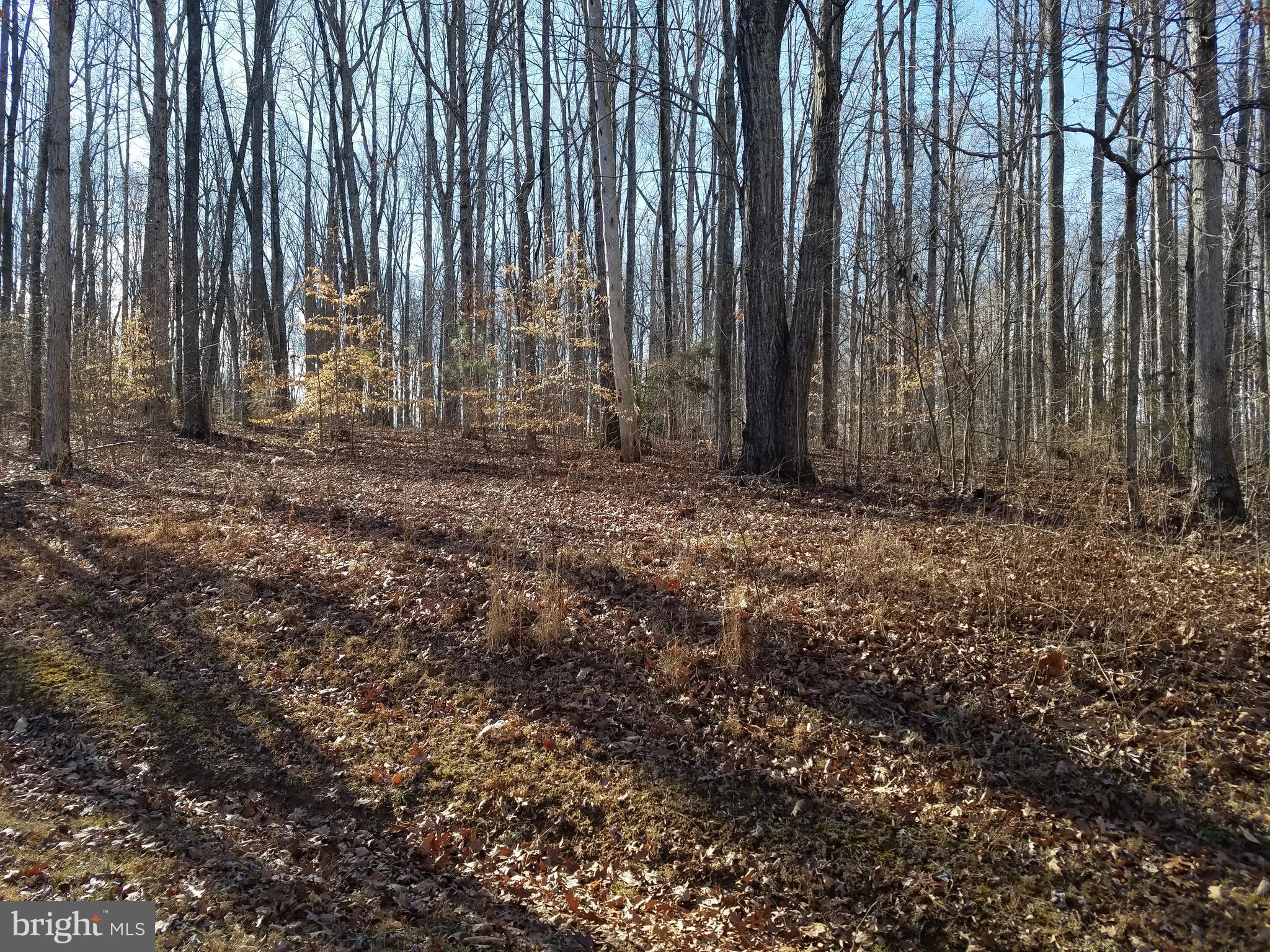 Lot 416 Lake Forest Dr