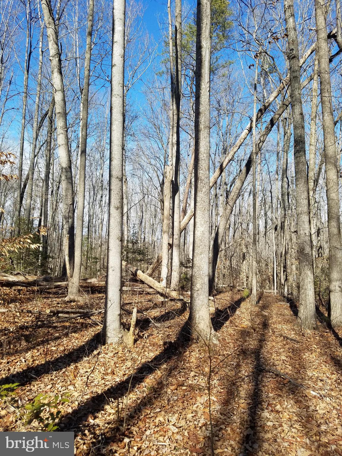 Lot 416 Lake Forest Dr