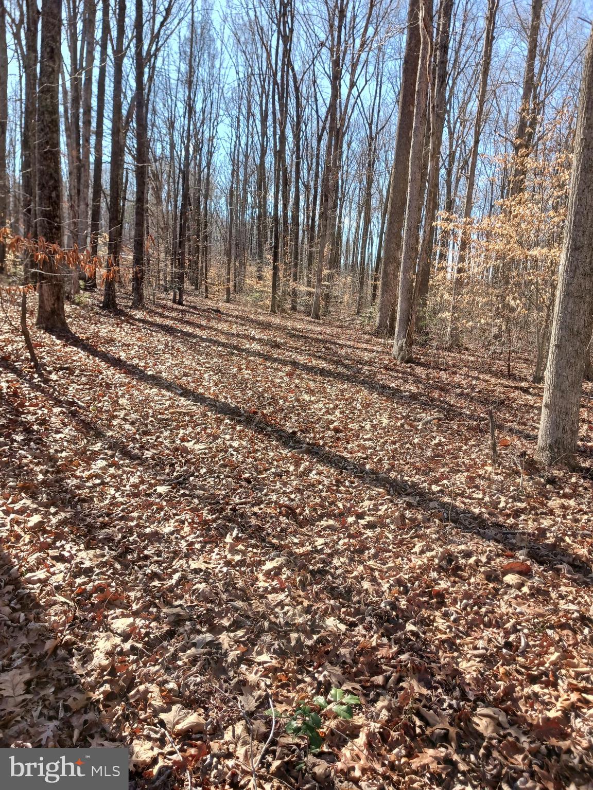 Lot 416 Lake Forest Dr