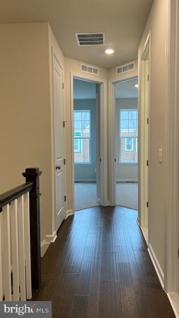 42996 LOST FARM TERRACE