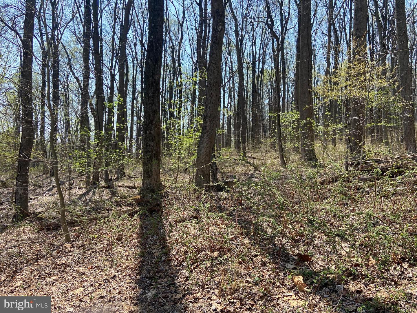 0 MOUNTAIN ROAD