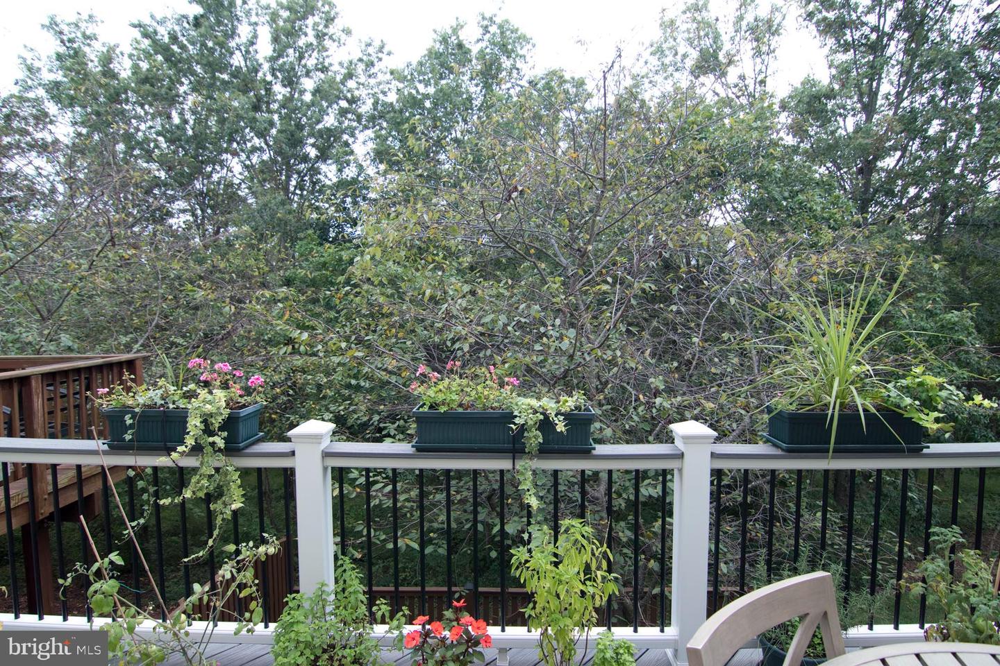 22539 WELBORNE MANOR SQUARE