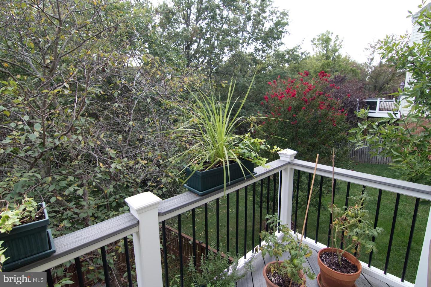 22539 WELBORNE MANOR SQUARE