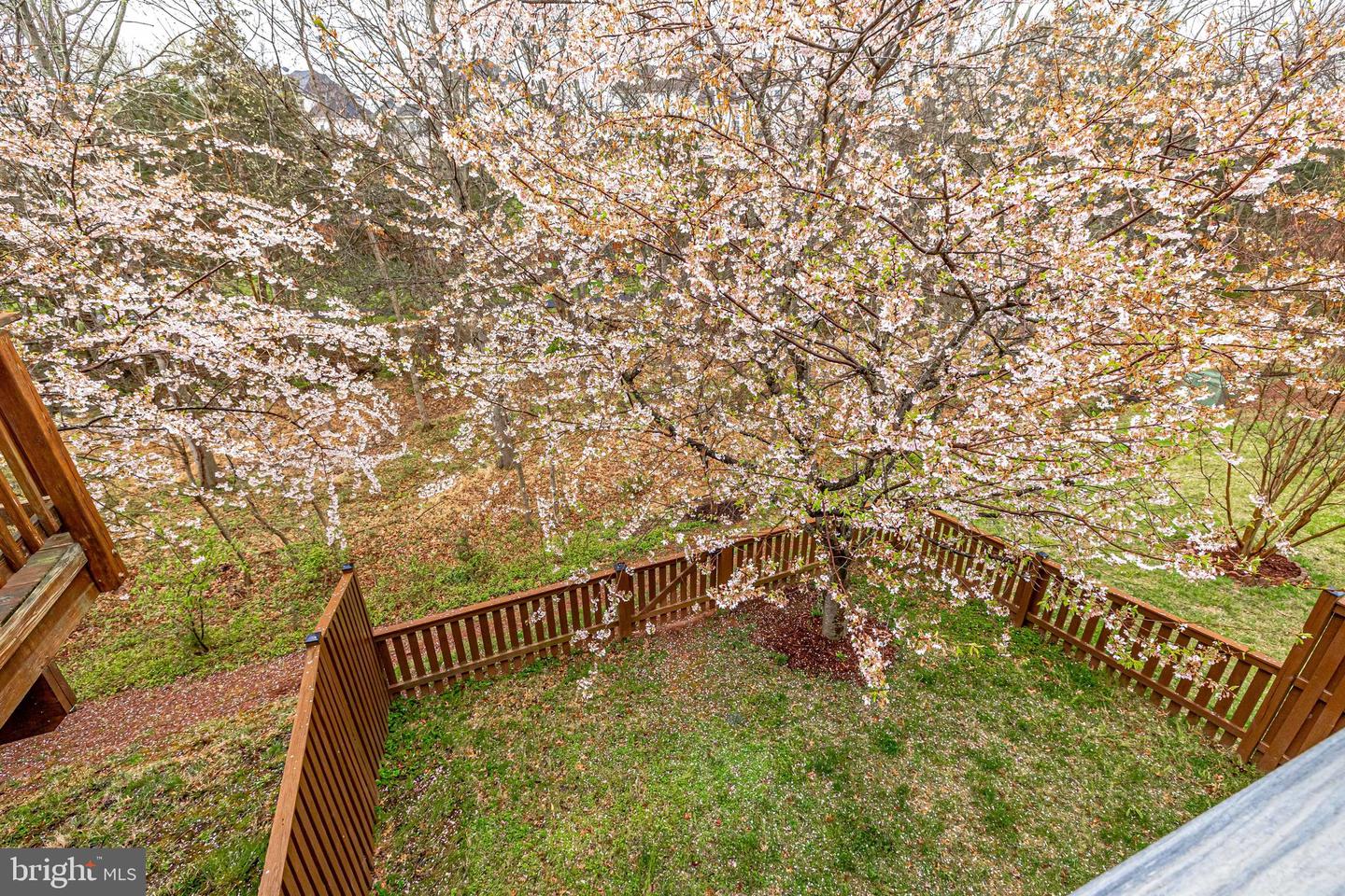 22539 WELBORNE MANOR SQUARE