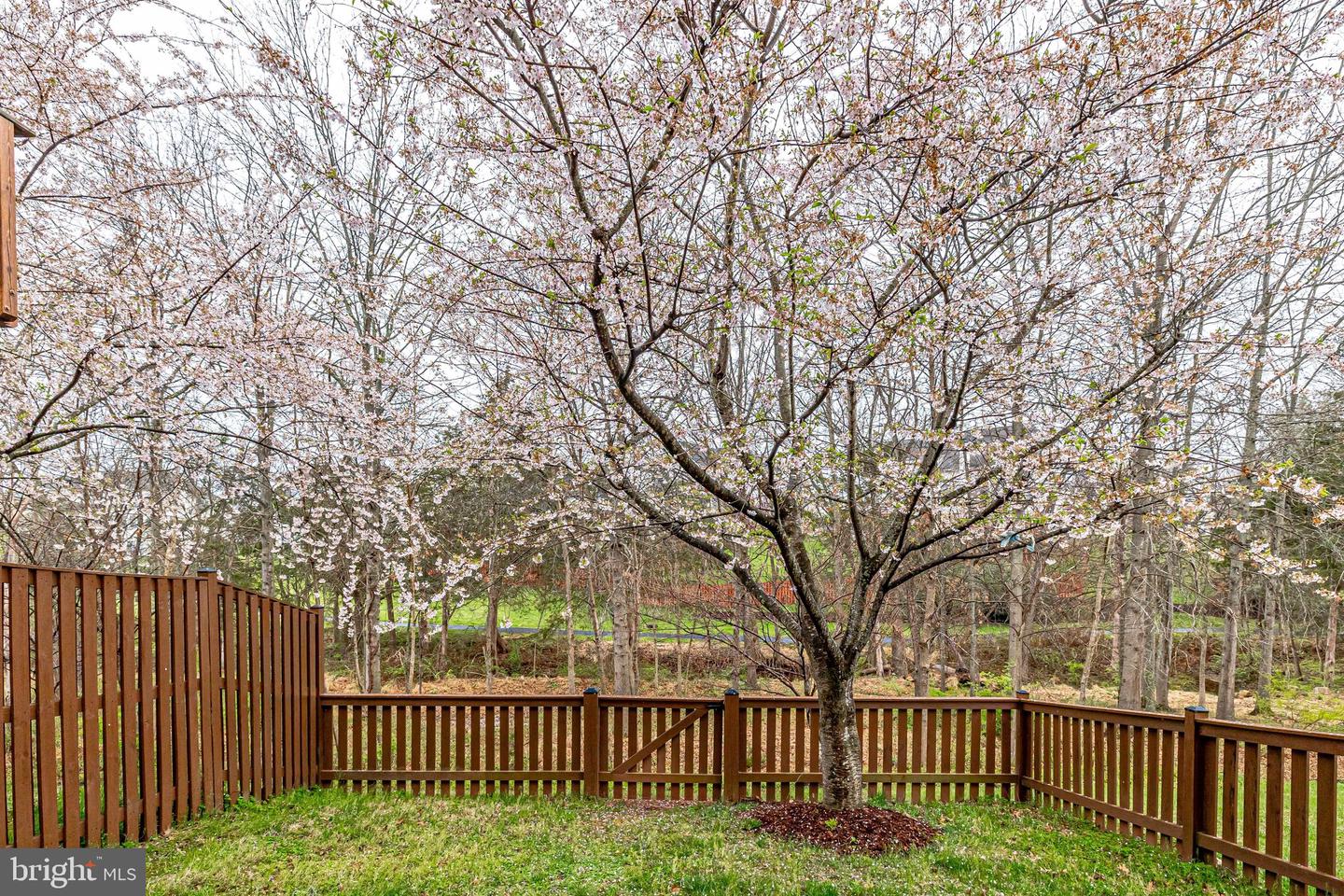 22539 WELBORNE MANOR SQUARE