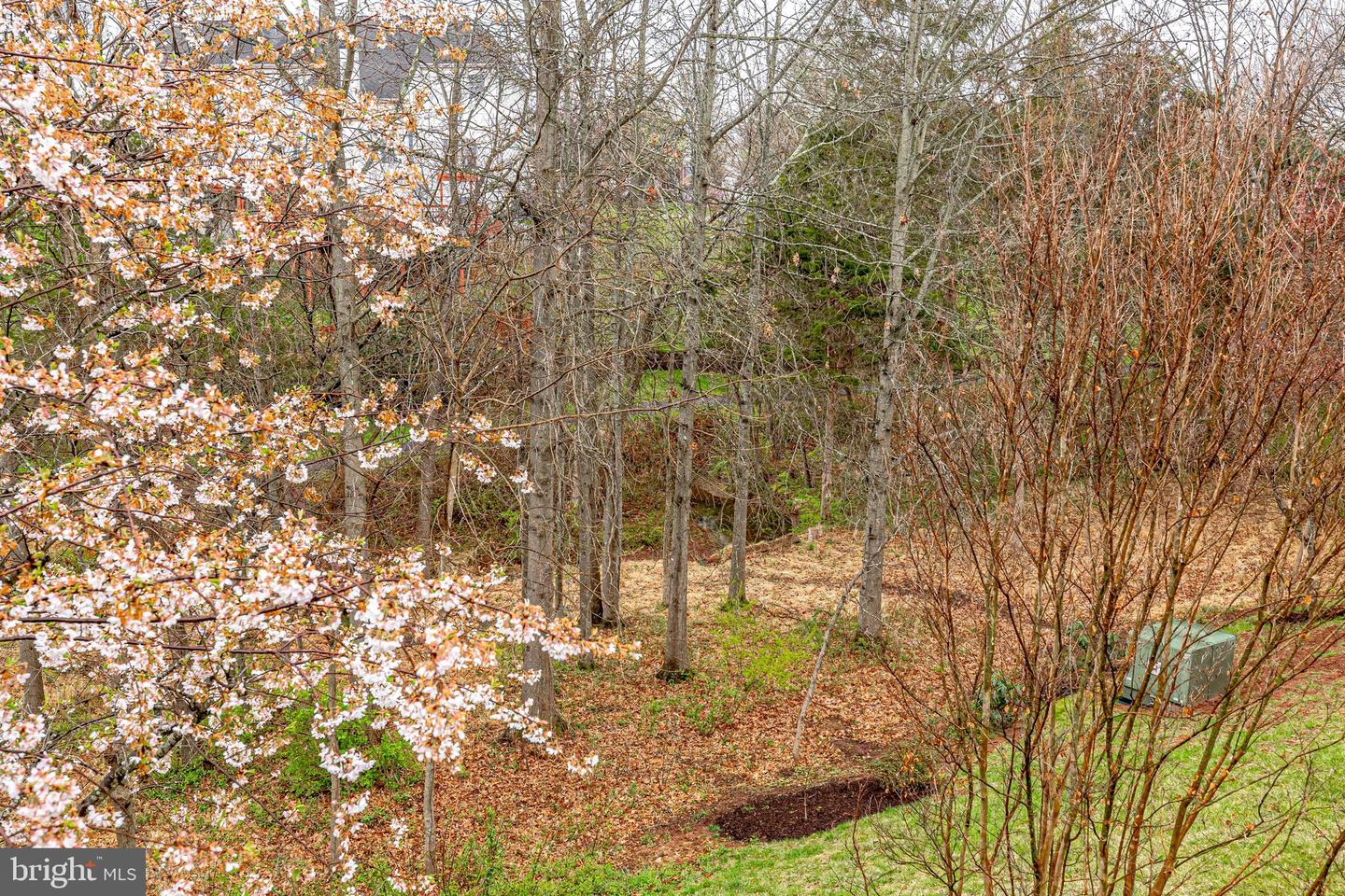 22539 WELBORNE MANOR SQUARE