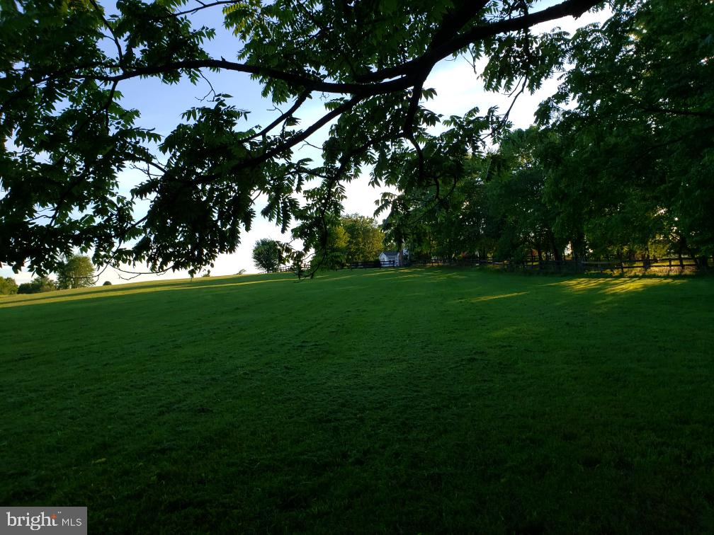12027 GEORGE FARM DRIVE
