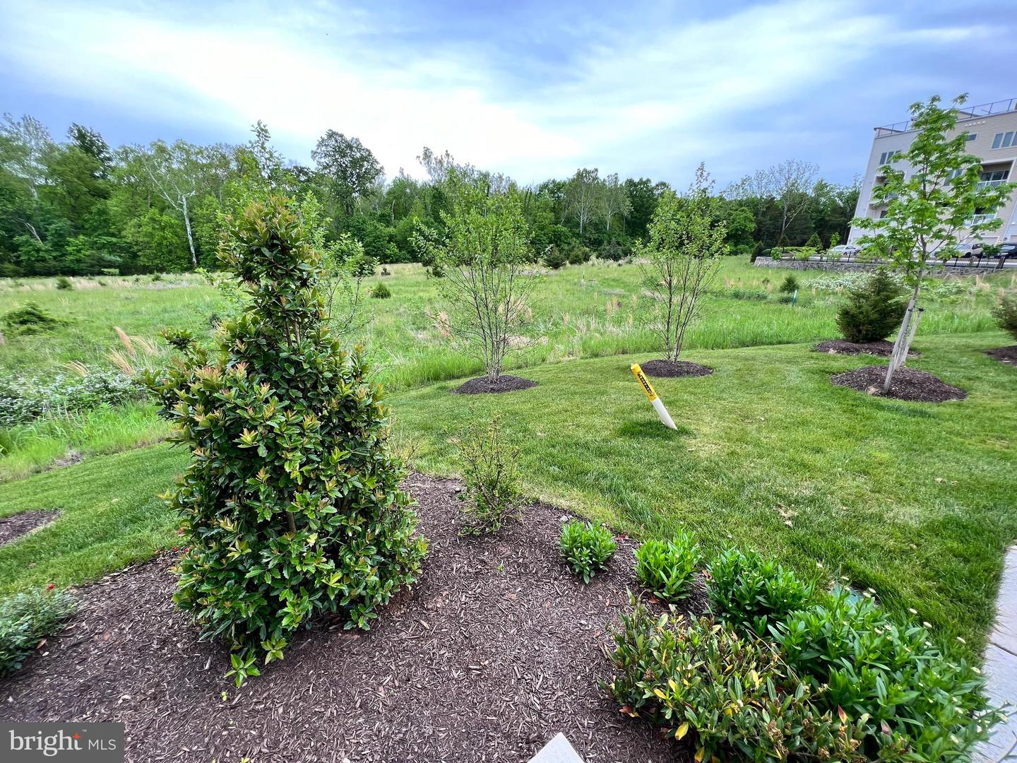 23559 BINGLEY MANOR TERRACE