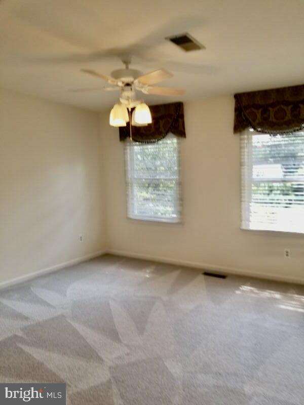 21119 BLUE BILL COURT