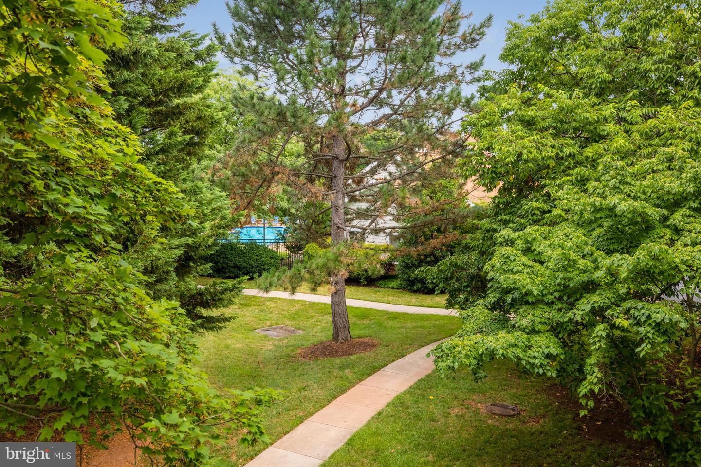 20977 TIMBER RIDGE TERRACE Unit: 204