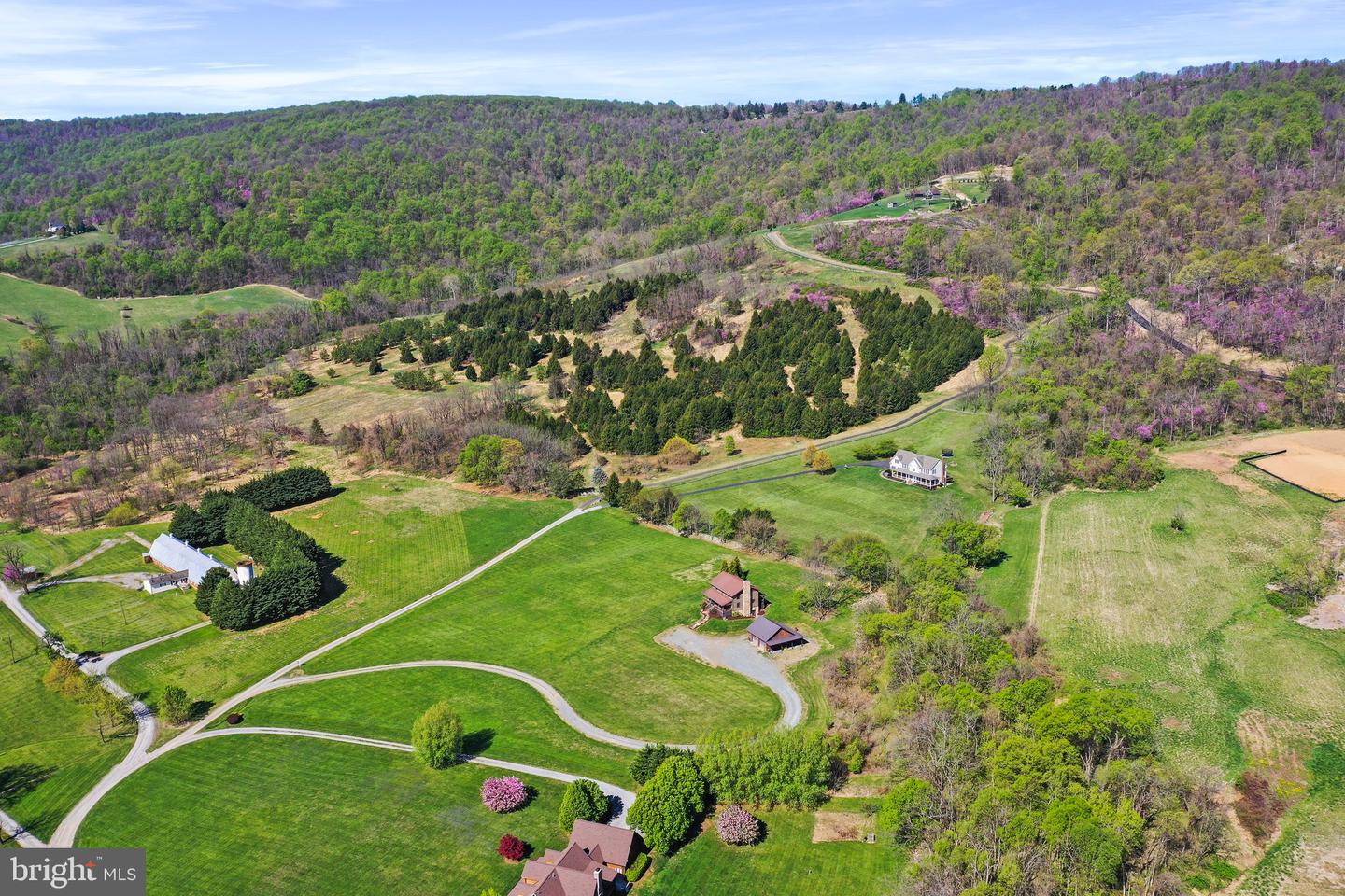 33928 BUCK MOUNTAIN LANE