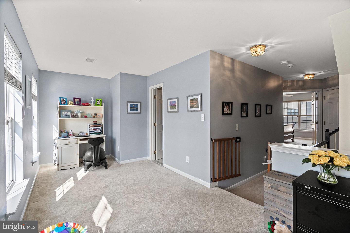 43546 MINK MEADOWS STREET