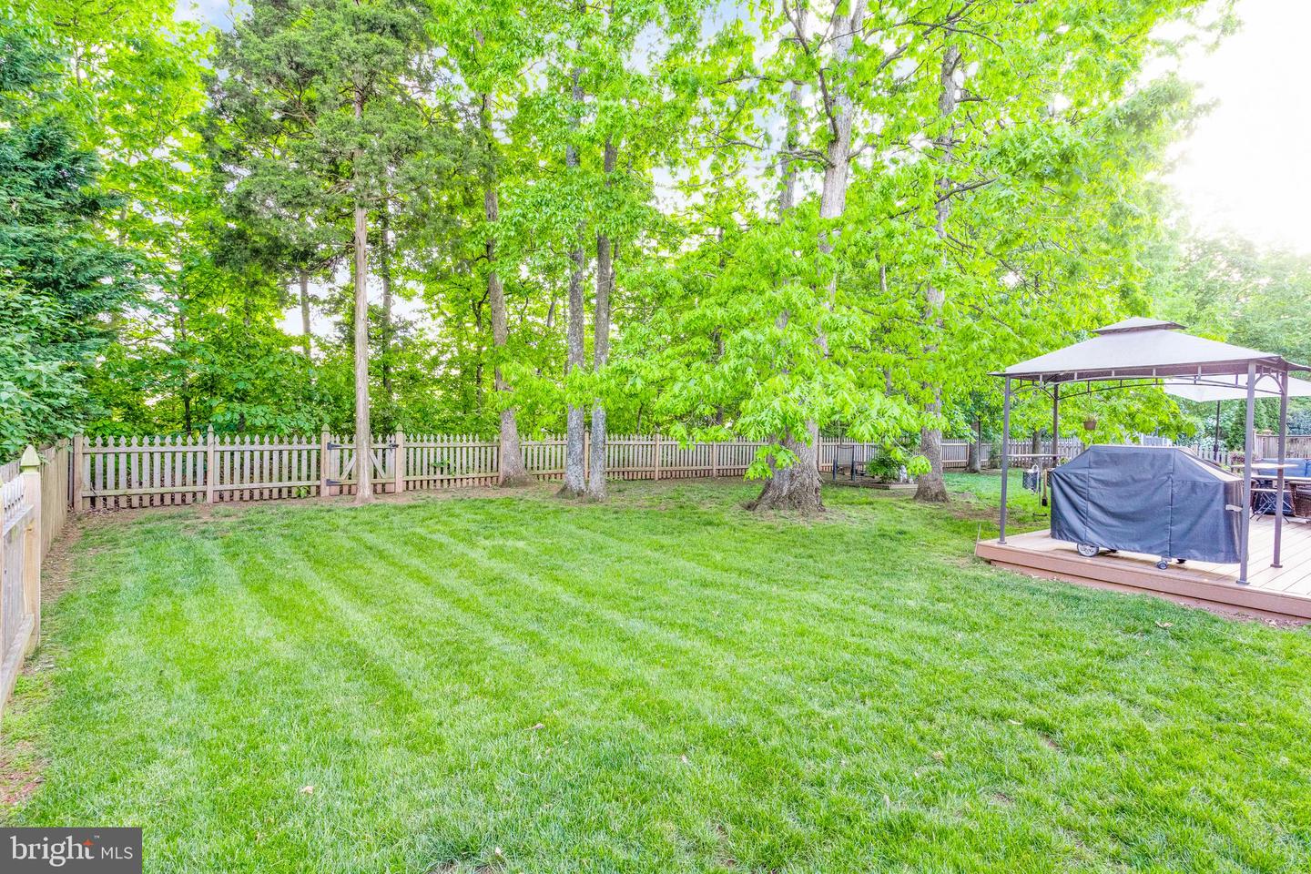 21368 CLAPPERTOWN DRIVE