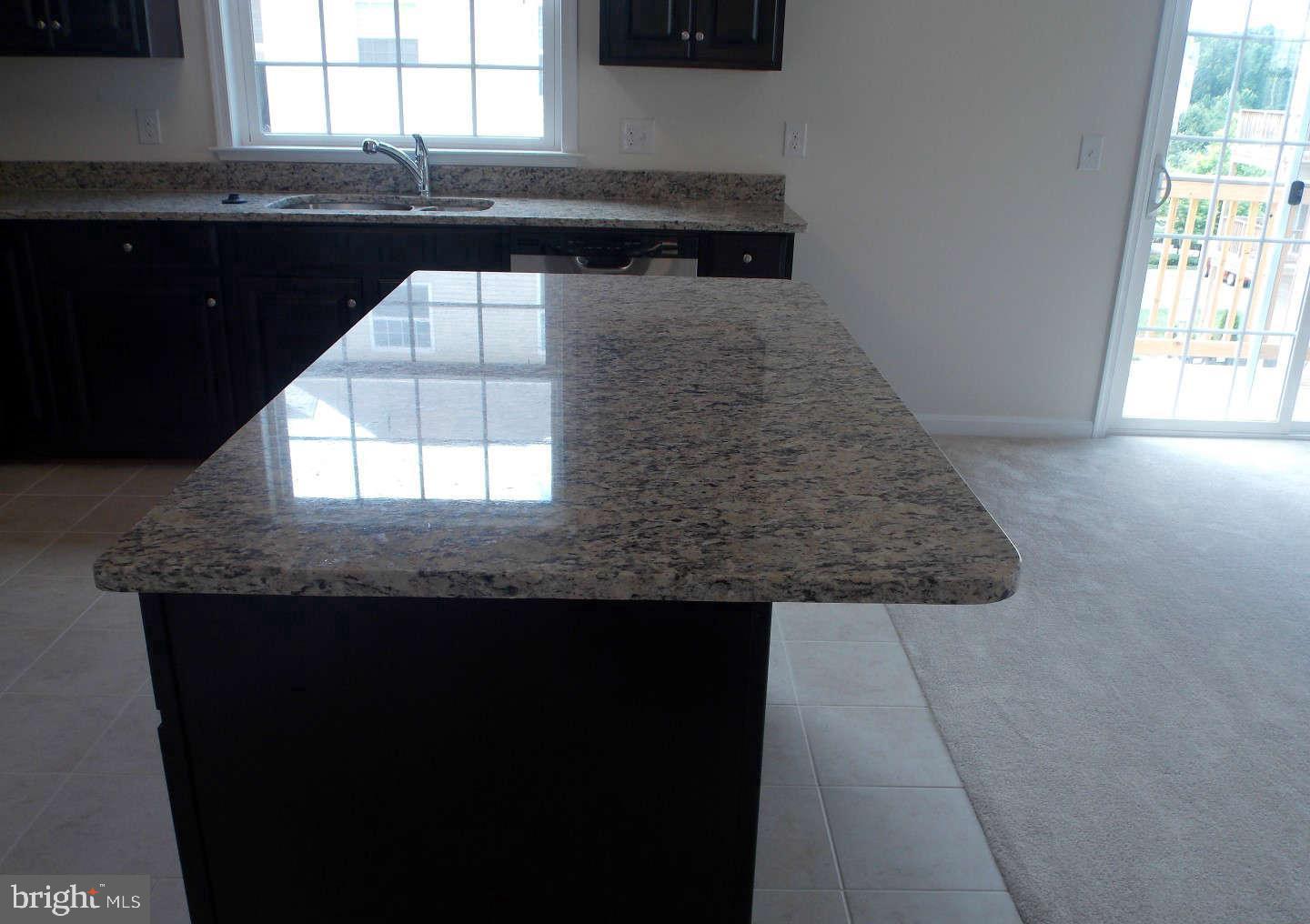 24698 LYNETTE SPRINGS TERRACE