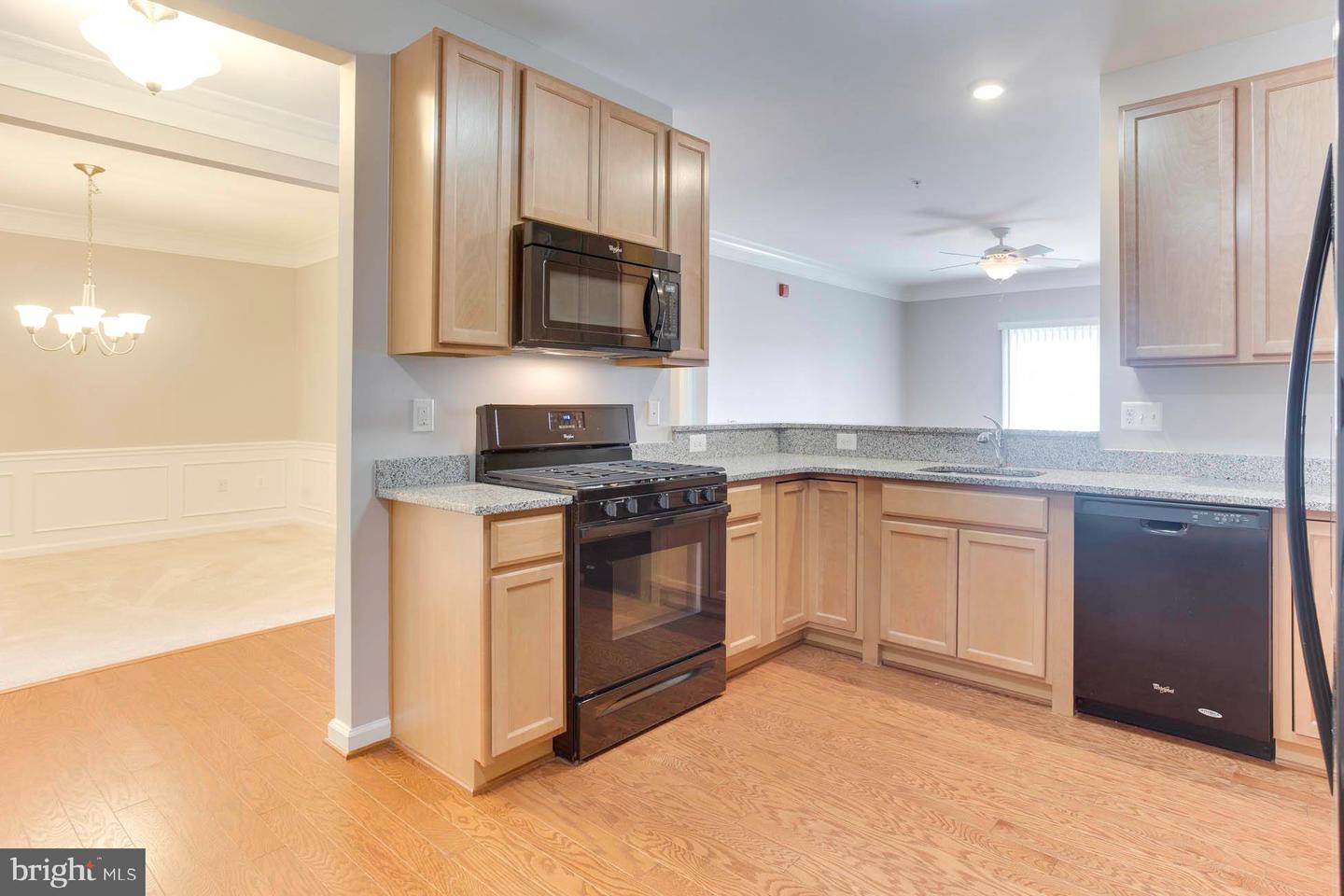 20620 HOPE SPRING TERRACE Unit: 303