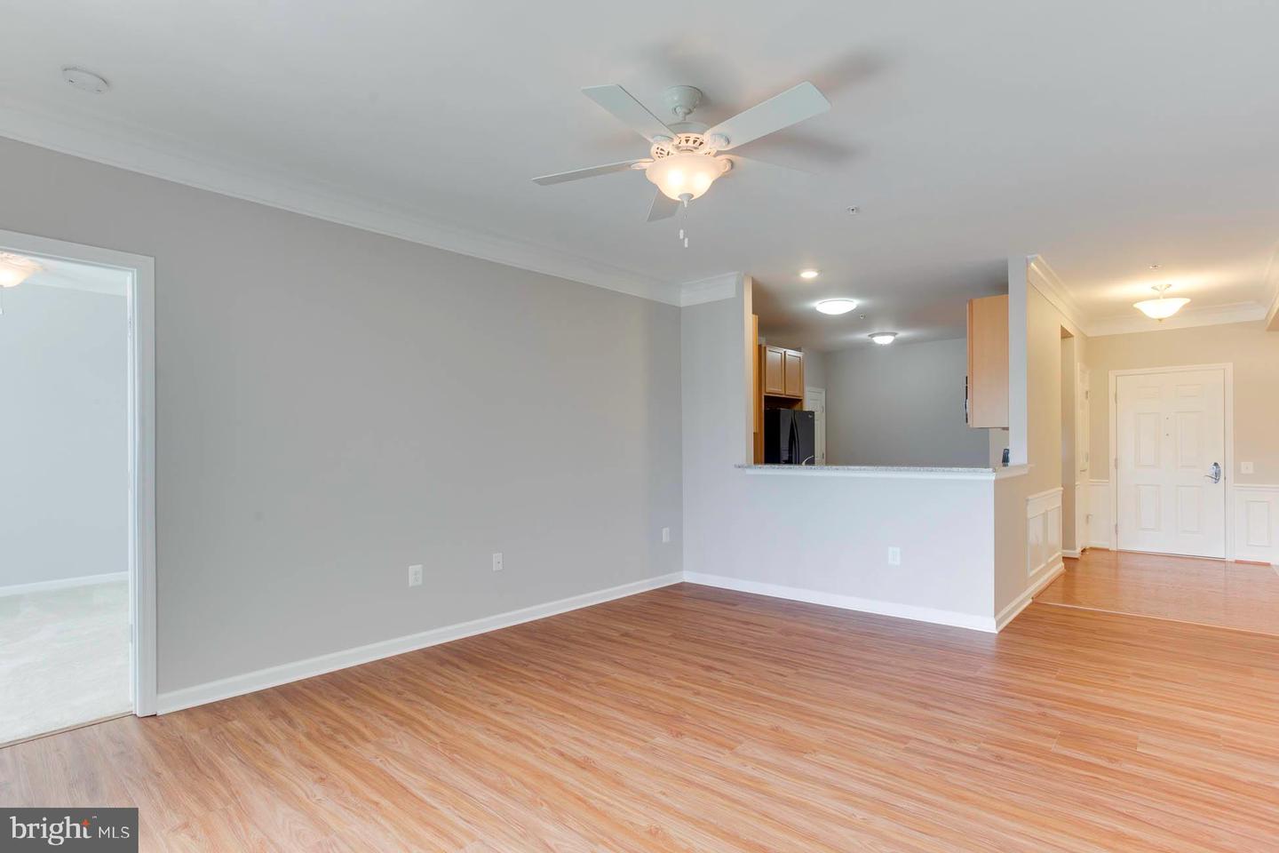 20620 HOPE SPRING TERRACE Unit: 303