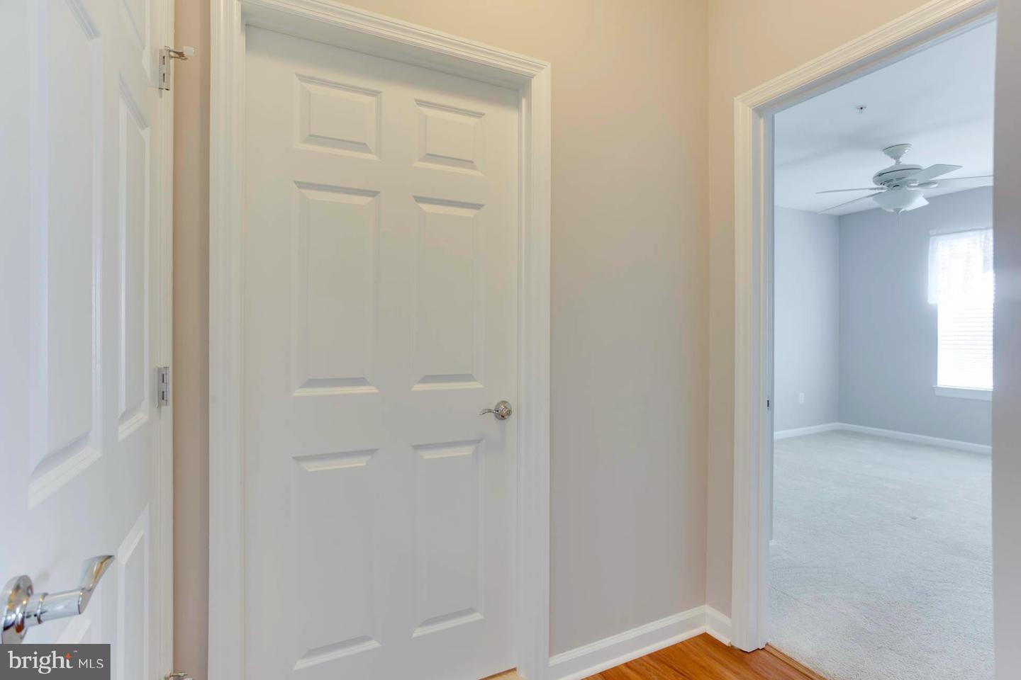 20620 HOPE SPRING TERRACE Unit: 303