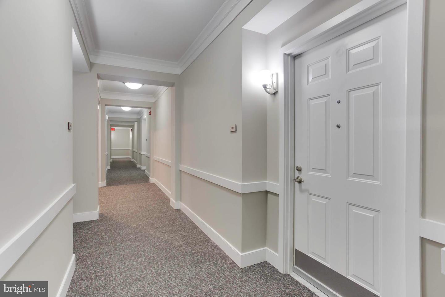 20620 HOPE SPRING TERRACE Unit: 303