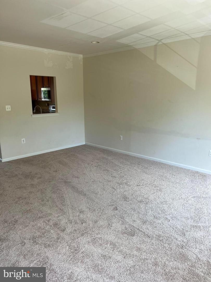 45631 IRON HORSE TERRACE