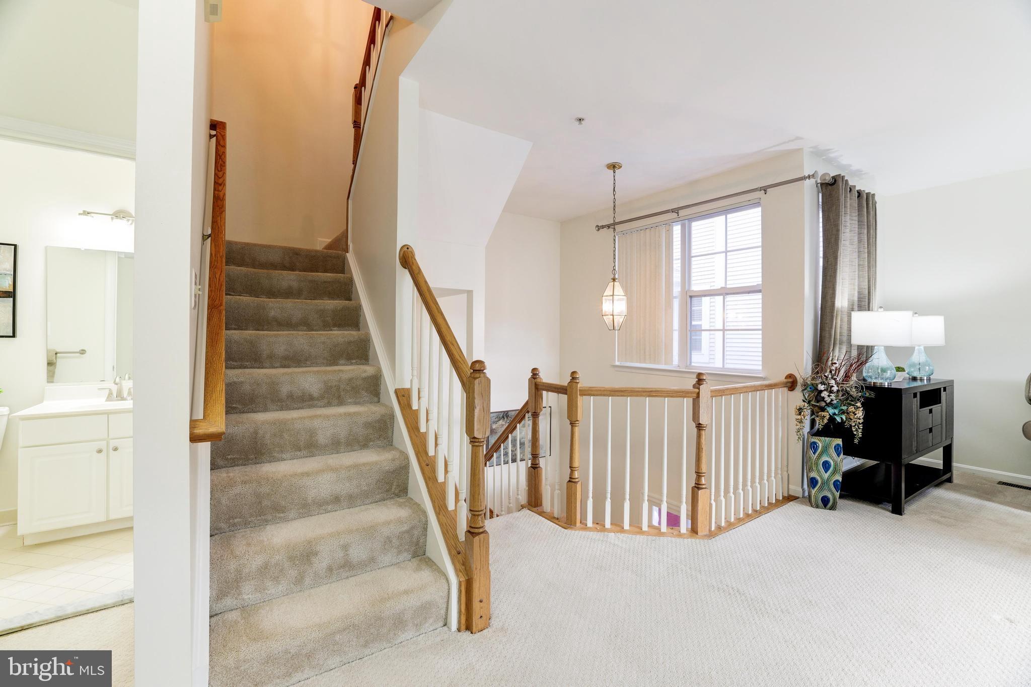 20432 Cool Fern SQUARE
