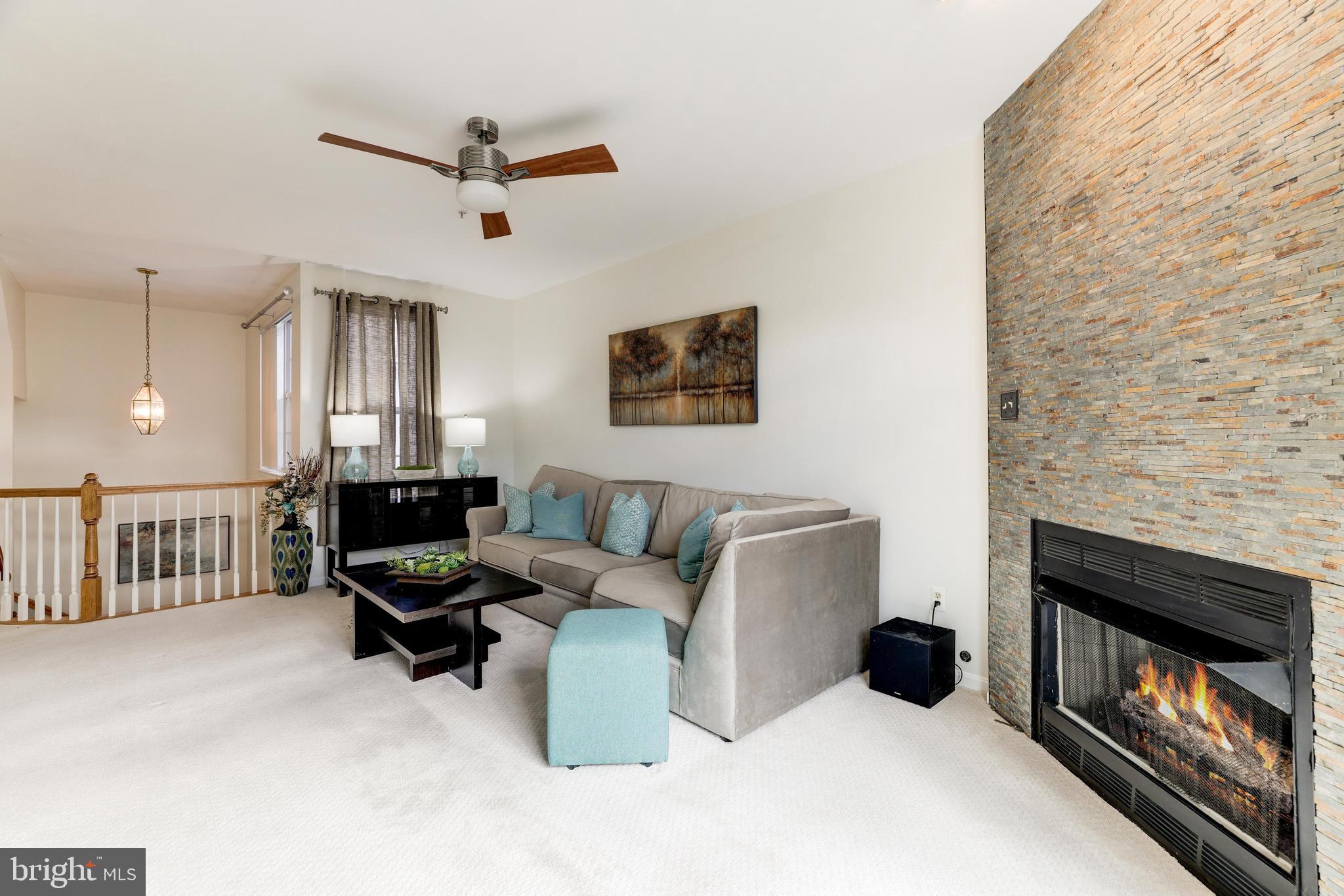 20432 Cool Fern SQUARE