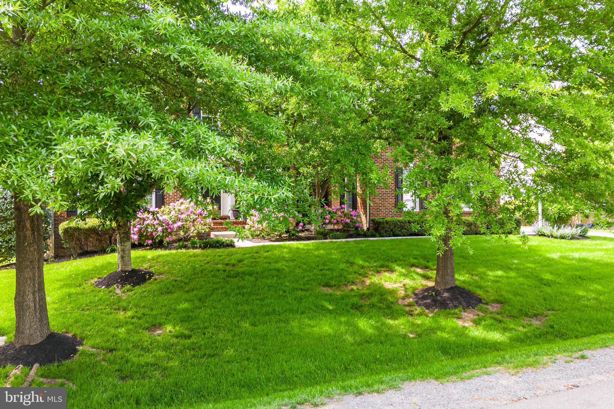 24164 SPRING MEADOW CIRCLE